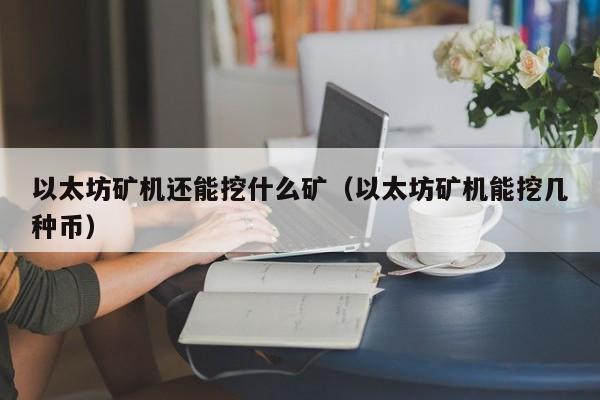 以太坊矿机还能挖什么矿(以太坊矿机能挖几种币)