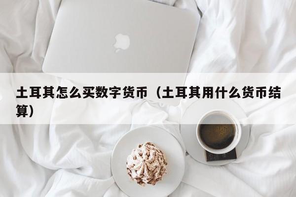 土耳其怎么买数字货币(土耳其用什么货币结算)