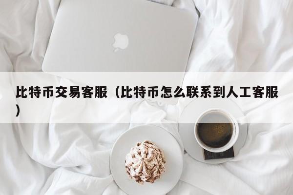 比特币交易客服(比特币怎么联系到人工客服)