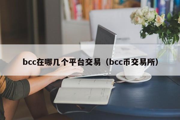 bcc在哪几个平台交易(bcc币交易所)
