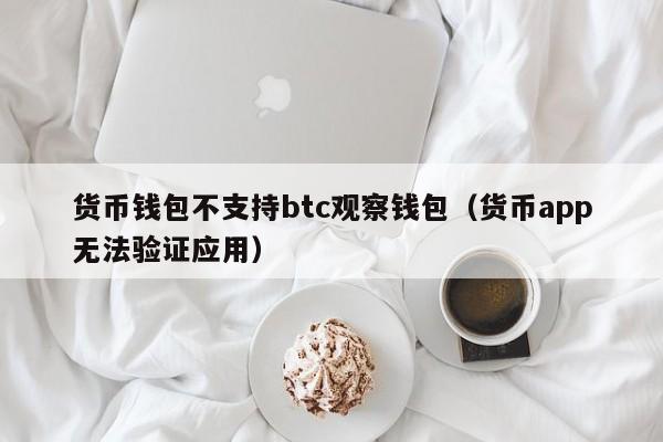 货币钱包不支持btc观察钱包(货币app无法验证应用)