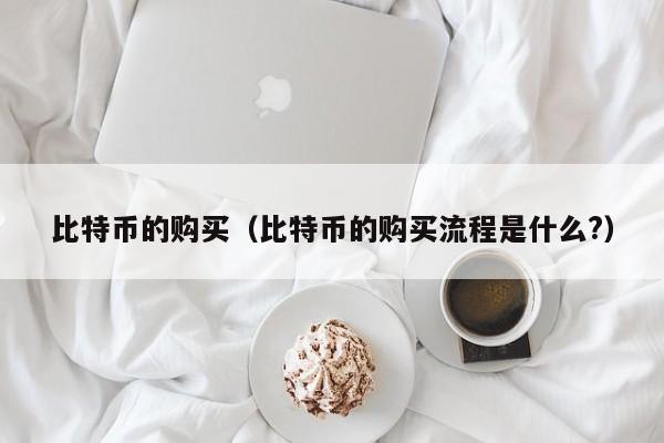 比特币的购买(比特币的购买流程是什么?)