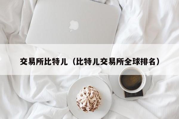 交易所比特儿(比特儿交易所全球排名)
