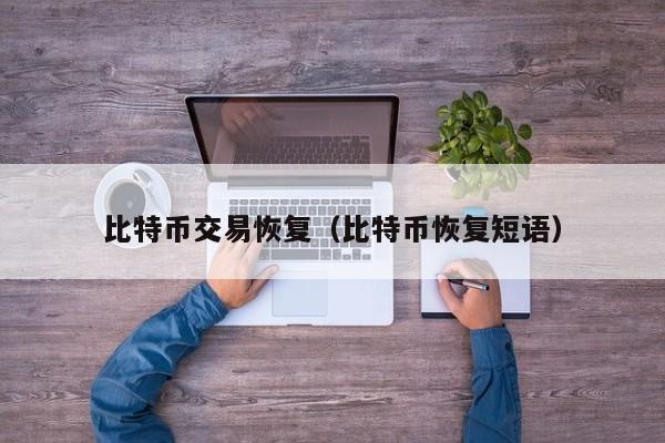 比特币交易恢复(比特币恢复短语)