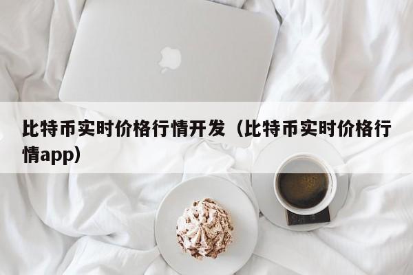 比特币实时价格行情开发(比特币实时价格行情app)