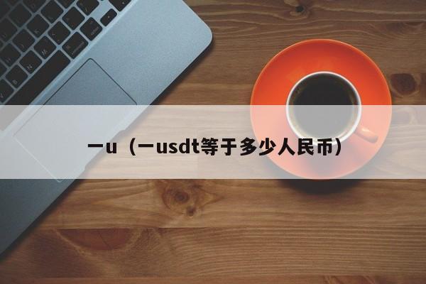 一u(一usdt等于多少人民币)